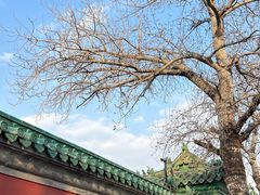 -历代帝王庙博物馆