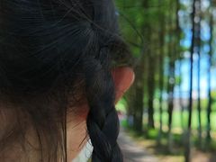 -乌村
