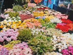 -双季花艺园艺市场(浦东店)