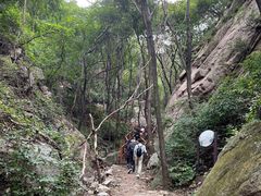-大岭沟猕猴桃谷风景区