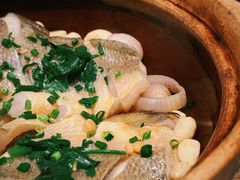 -新雅粤菜馆(南京东路店)