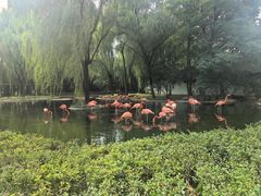 -石家庄市动物园