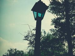 -铁山坪森林公园