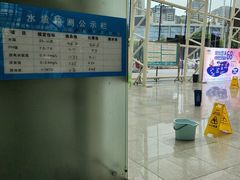 -广西体育中心-游泳馆