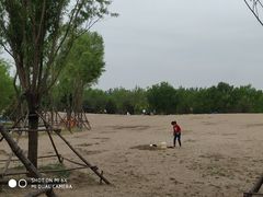 -东郊湿地公园