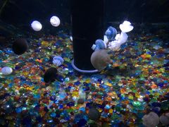 -成都浩海立方海洋公园