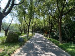 -昆山城市生态森林公园