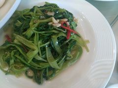 -黄埔华苑酒家(黄埔店)