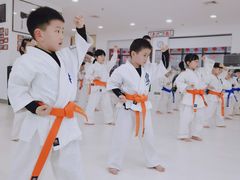 -极真空手道修远道场