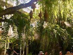 -Fern Forest Cafe