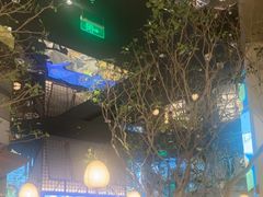 -桂满陇·海市蜃楼·黑金(国金店)