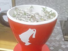 -王府半岛酒店·大堂茶座