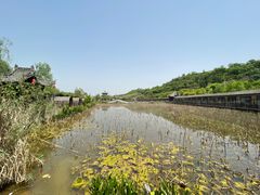 -渭南桃花源民俗文化园