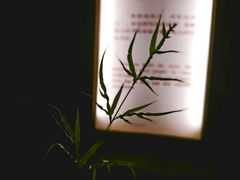 -咸宁万豪温泉谷度假区