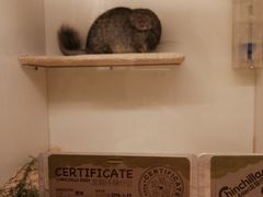 -龙猫仔乐园(惠福东路店)