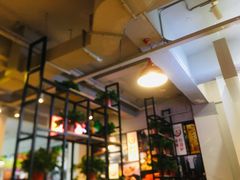 -川大刘肥肠鸡(北国店)