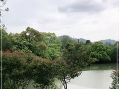 -西溪国家湿地公园