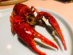 精品潜江油焖小龙虾-小田油焖小龙虾(双井店)