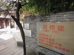 -田德能咖啡博物馆