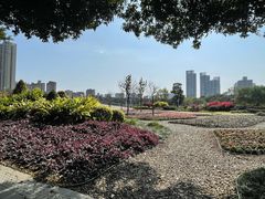 -文华公园(禅城区)