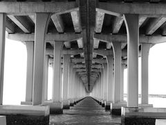 -宝安西湾红树林湿地公园