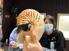-青岛贝壳博物馆