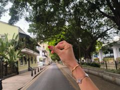 -广州白天鹅宾馆