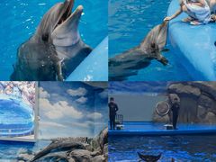 -福州罗源湾海洋世界旅游区