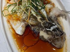 -亳府大院(亳州店)