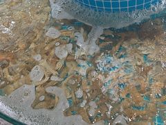 -蓝珊甄选海鲜自助·火锅大排档(近阿那亚店)