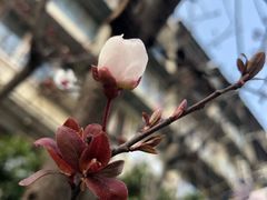-瑞幸咖啡(外滩SOHO店)