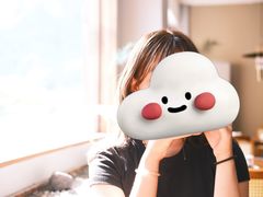 -宴武夷·匠心闽味(印象大红袍店)