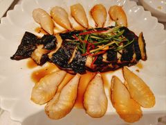 哈哈清蒸鱼-莲池荟素食馆·12年老字号(光孝寺店)