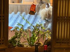 -叶叶菩提(太原别墅店)