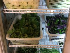 -黔府豆米火锅野菜馆(南马店)