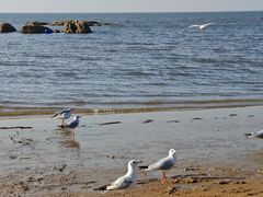 -老虎石海上公园