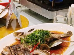 -荣誉大酒店·荣誉海鲜酒楼(晋江电力店)
