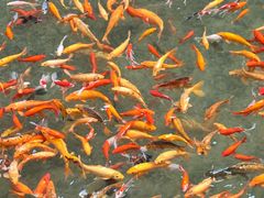 -楠溪江风景名胜区