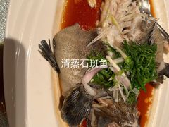 -小南洋海景餐厅(深圳湾店)