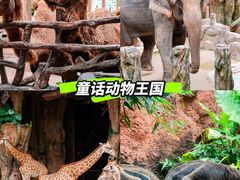 -长鹿旅游休博园