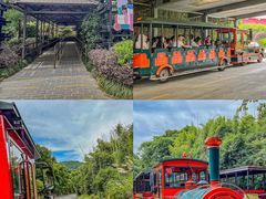 -杭州野生动物世界