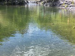 -凤凰山国家森林公园