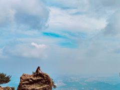 -阳台山自然风景区