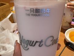 -一只酸奶牛(曲江龙湖星悦荟店)