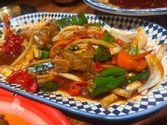 -柴窝堡22号辣子鸡·传承新疆菜