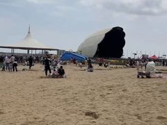 -碧海金沙