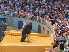 -秦皇岛乐岛海洋王国