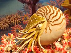 -国家自然博物馆