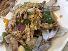 豉椒炒圣子-新金盛·海鲜酒楼(盐田店)