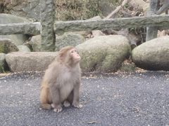 -姑婆山旅游区